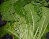 山東菜メインで美味しいサラダ作り方1写真