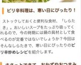ネギたっぷり☆しらたきのピリ辛炒め☆作り方10写真
