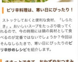 ネギたっぷり☆しらたきのピリ辛炒め☆作り方10写真