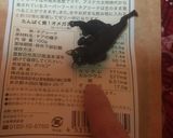 Spring rice field作り方3写真