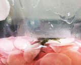 超簡単!大根の即席漬け^_^作り方6写真