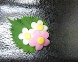 めで鯛♡ちらし寿司(≧∇≦)作り方13写真