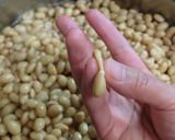 手作り味噌☆目指せお婆ちゃんちの味噌！！作り方3写真