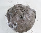 プチ✿フィセル　イカ墨作り方4写真