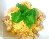 簡単10分☆和食朝食ランチ弁当そぼろ丼♪作り方14写真
