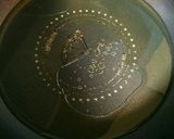 ジューシー♪牛コマのコロッケ作り方6写真