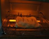 パイシートでクリームチーズアップルパイ作り方13写真