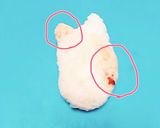 すみっコぐらし弁当作り方1写真
