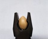 ぎんなんの殻を割る、コツ！作り方1写真