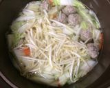野菜たっぷりメンマ入り肉団子スープ作り方6写真
