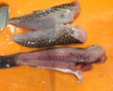 オコゼの唐揚げと揚げ豆腐 骨せんべい添え作り方3写真