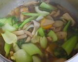 鶏むね肉とチンゲン菜 ごぼう蒟蒻の煮物♪作り方8写真