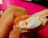 骨取りで食べやすい!手羽先の蜂蜜照り焼き作り方1写真