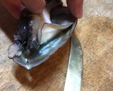 酒蒸しにした活アワビの燻製 肝味噌添え作り方1写真