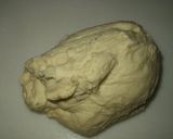 ヨーグルト入り☆リュスティック風のパン作り方1写真