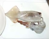 イカと茗荷の甘辛煮♪簡単作り方2写真