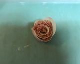薔薇餃子作り方8写真
