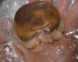 ☆しいたけ丸ごと鶏つくね☆作り方4写真
