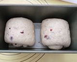 ココナッツオイルしっとりクランベリー角食作り方6写真
