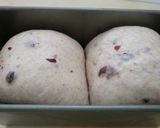 ココナッツオイルしっとりクランベリー角食作り方7写真