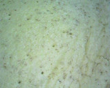 小麦粉不使用♪おいもでフワフワお好み焼き作り方3写真