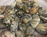 貝の旨味たっぷり貝鍋作り方1写真