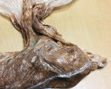 簡単混ぜるだけ！リッチなチョコクッキー作り方3写真