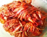 超本格☆手作りキムチ作り方13写真