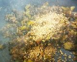 ✿ピリ辛で美味しいごま油の高菜炒め✿作り方3写真