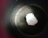 アボカド寒天グラタン作り方1写真