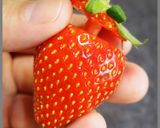ミキサーで混ぜるだけ！いちごミルク作り方8写真
