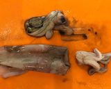 ヤリイカと餅巾着の炊き合わせ作り方5写真