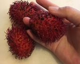 ランブータンの漬け物作り方1写真