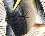 簡単 ご飯がススム！鯖の煮付け☆作り方1写真