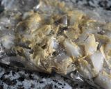 旨みたっぷり、カレー風味の酒粕塩麹焼き作り方3写真