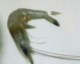 簡単!芝エビとセリDEサクサクかき揚げ♪作り方3写真