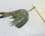 簡単!芝エビとセリDEサクサクかき揚げ♪作り方4写真
