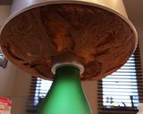 うすくち醤油カラメルのシフォンケーキ作り方59写真