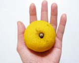ゆずケーキ作り方14写真