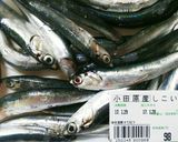 しこいわしの唐揚げ作り方1写真