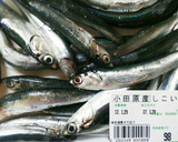しこいわしの唐揚げ作り方1写真