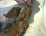 本格派! 魚屋さんのイカの塩辛作り方5写真