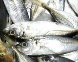 簡単、豆アジの唐揚げ作り方1写真