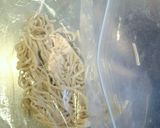 フランス生まれのおしゃれ飯　本格ガレット作り方4写真
