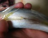 スルッとな♪サンマのワタ作り方7写真