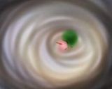 ブロッコリーの花束揚げ作り方4写真