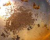 コーヒーゼリー　コーヒーアイス載せ作り方1写真