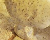 HMで絶品♥極上食感チョコロールケーキ作り方6写真
