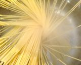 ♡ほうれん草のクリームパスタ♡作り方3写真