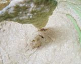 ＨＭで簡単♪豆腐たっぷり♥バナナマフィン作り方4写真